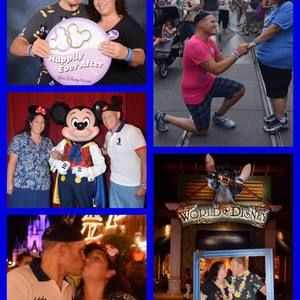 Meet your Posher, Timothy